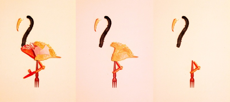 Essence of a flamingo